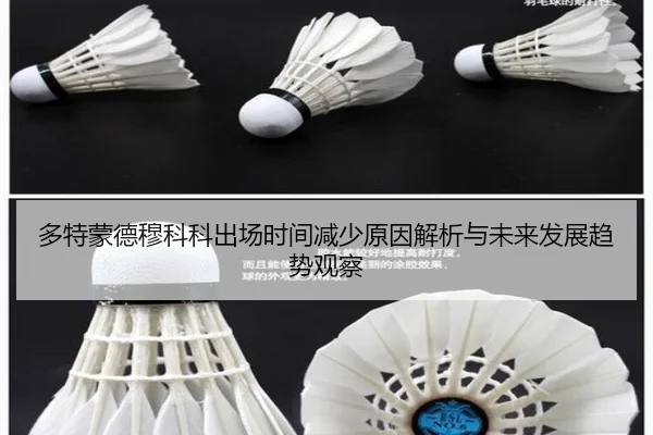多特蒙德穆科科出场时间减少原因解析与未来发展趋势观察